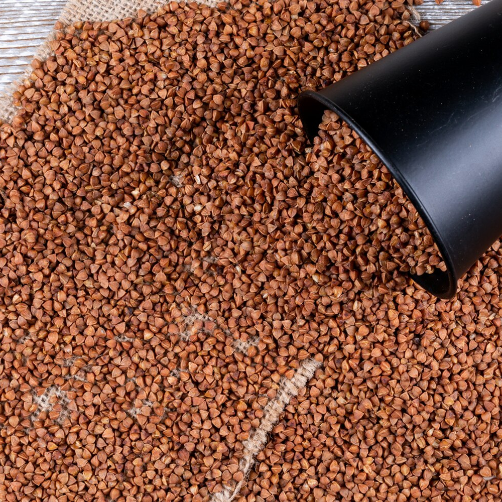 Fish Food Aquatic Feed